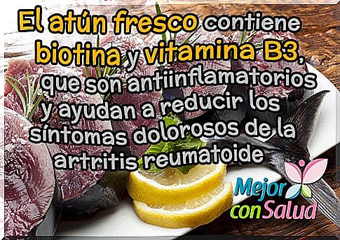 tuna-fresh-vitamin-b3