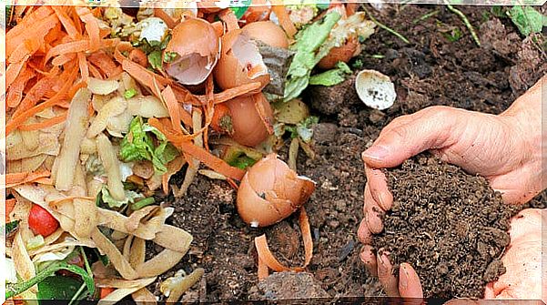 Composting