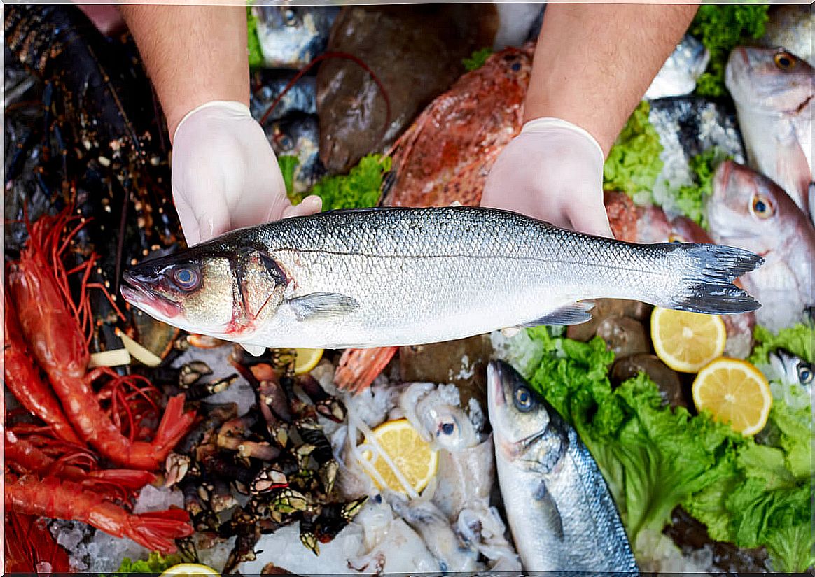 Sea bass in the market.