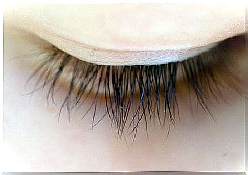 Eyelashes help us achieve an attractive look