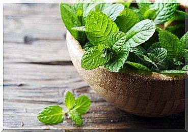 Fresh mint is a natural remedy that will help us achieve an attractive look.