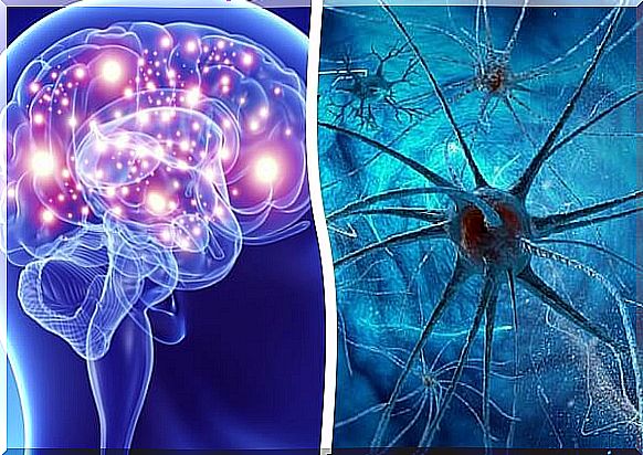 9 habits that kill neurons and affect brain health