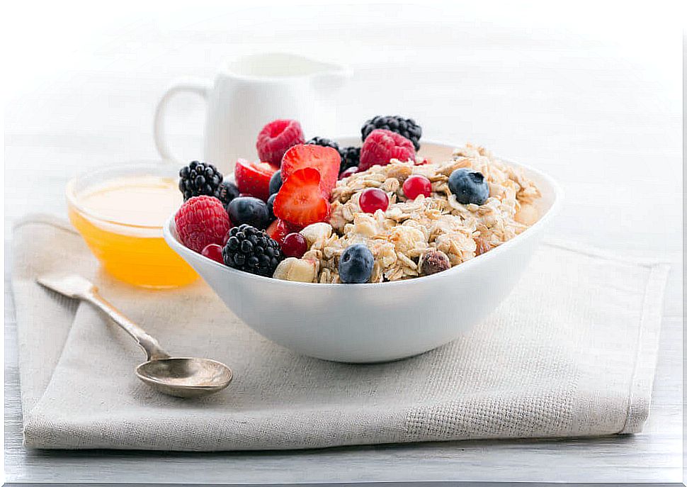 Bowl of muesli with oatmeal.