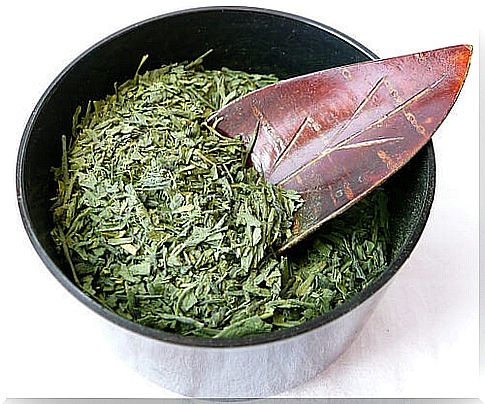 nettle bkajino