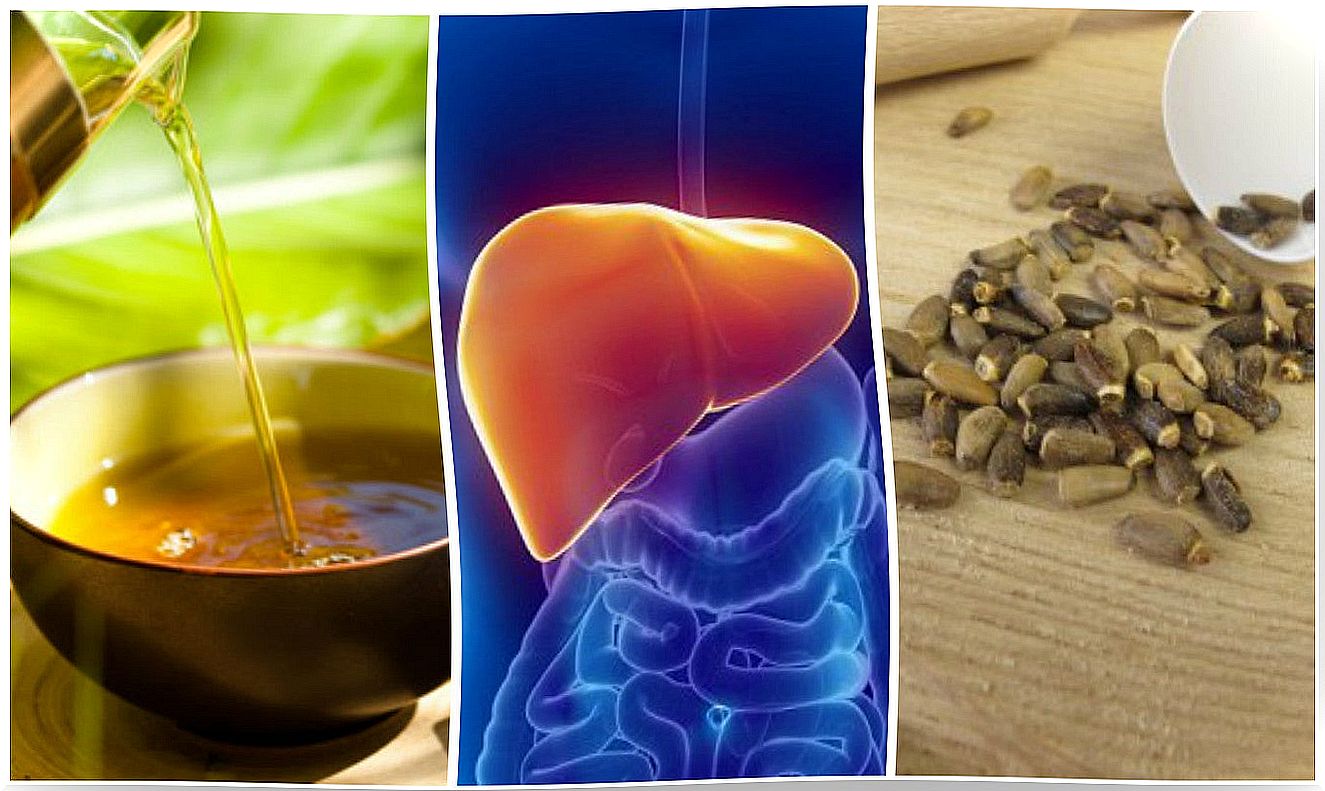 Fight fatty liver with these 6 alternative treatments