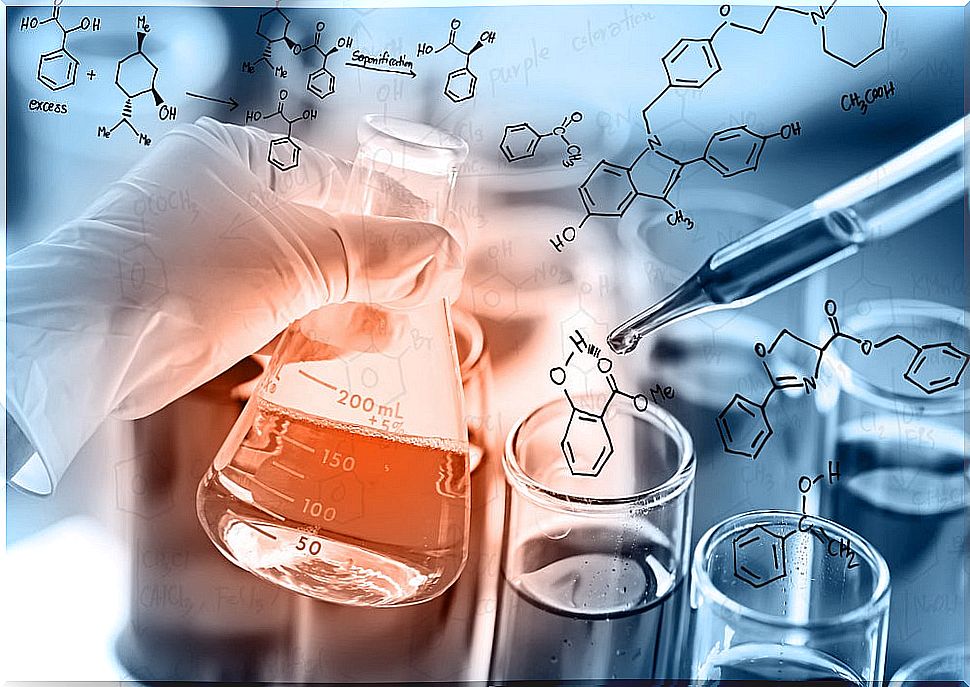 Drug biotransformation