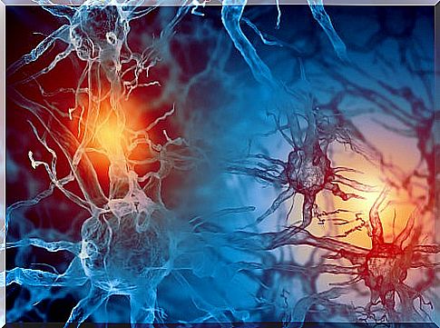 epilepsy and neurons