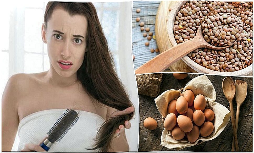 Fight hair loss by eating these 7 foods