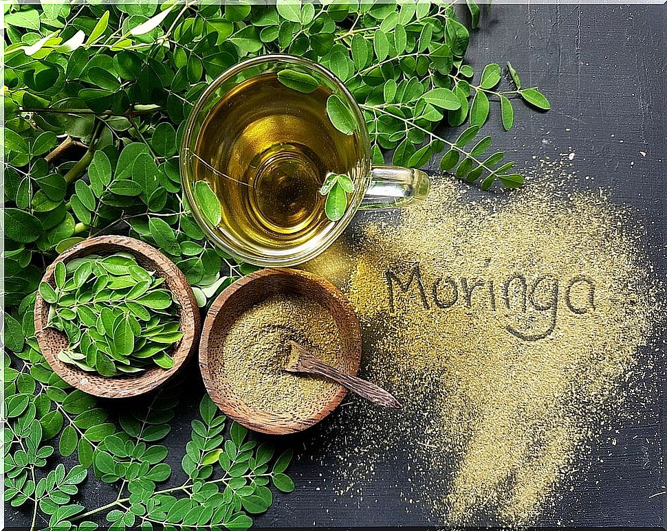 Moringa, an ideal food in a vegan diet