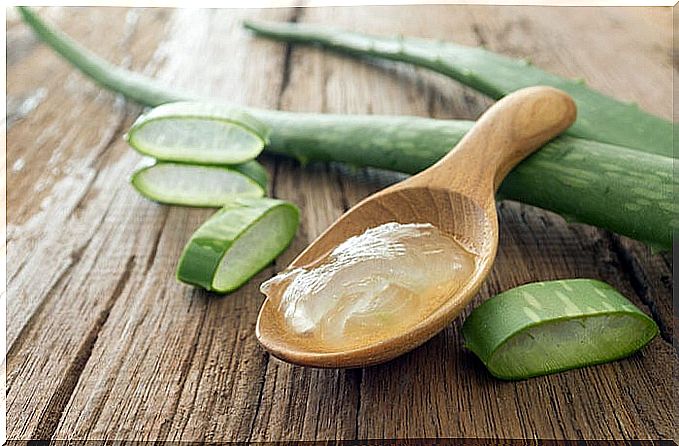 aloe vera against styes