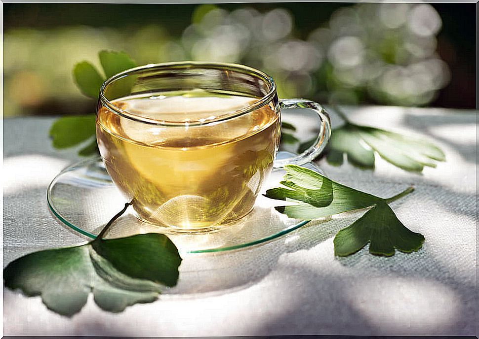 Ginkgo biloba tea.