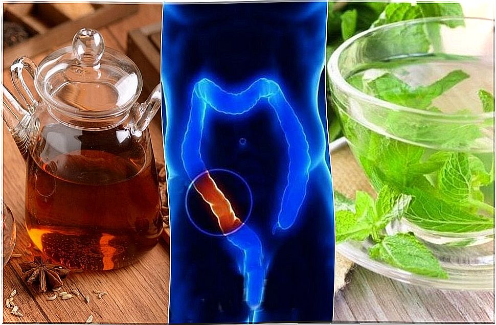 How to prepare 5 herbal teas to cleanse the colon naturally