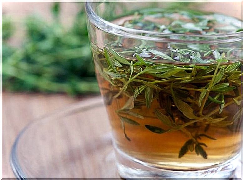 thyme-infusion