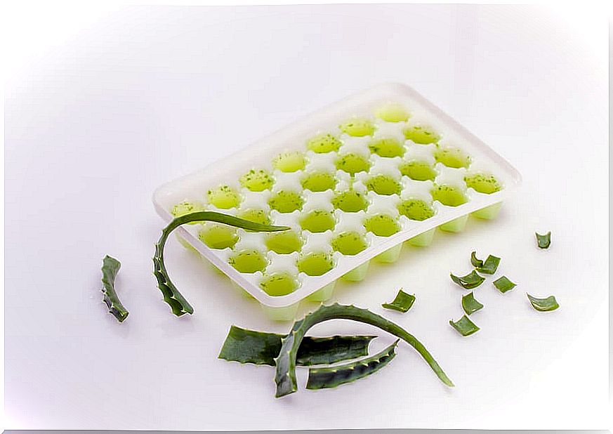 Freezing is the best way to store aloe vera gel.