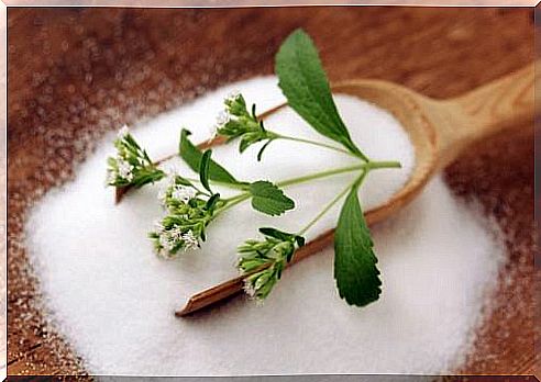 Stevia leaves in a spoon