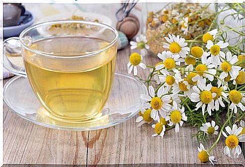 Chamomile tea excellent for weight loss