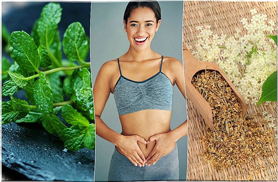 Take care of your digestion with these 6 healing plants