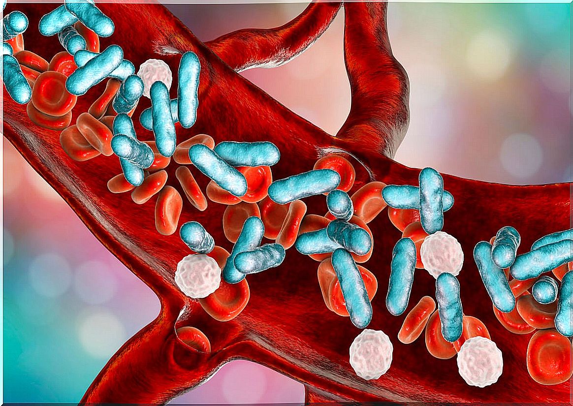 Microorganisms in the blood